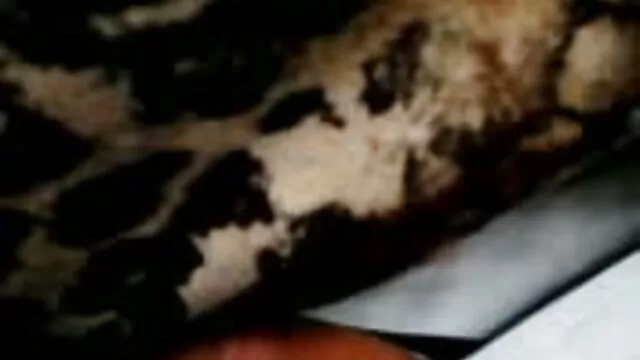 Porno Geen registratie  Homo ' s die lief zijn, zijn betrokken bij anale vr pornofilm draaikolk.