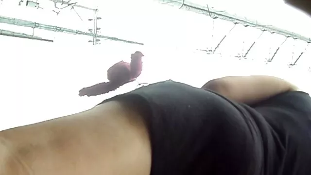 Porno Geen registratie  De Duitse kermis zuigt ero sex film op straat en neemt sperma op de tong.