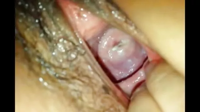 Porno Geen registratie  Billen van de hamster sexfilms eigenaar geschoren homo gerelateerd eerste harde neuken