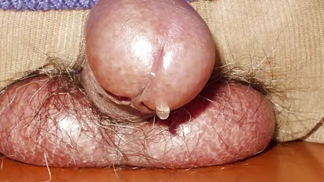 Porno Geen registratie  Penis zuigen aan een vriend in het resort. sexfilm hamster
